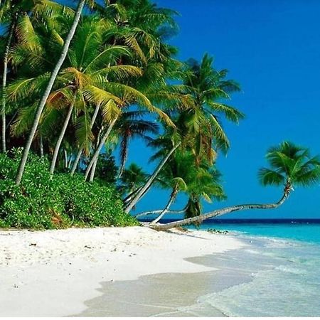Airbnb At Sri Sayang Batu Ferringhi Beach Dış mekan fotoğraf