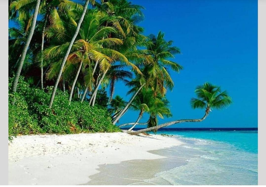 Airbnb At Sri Sayang Batu Ferringhi Beach Dış mekan fotoğraf